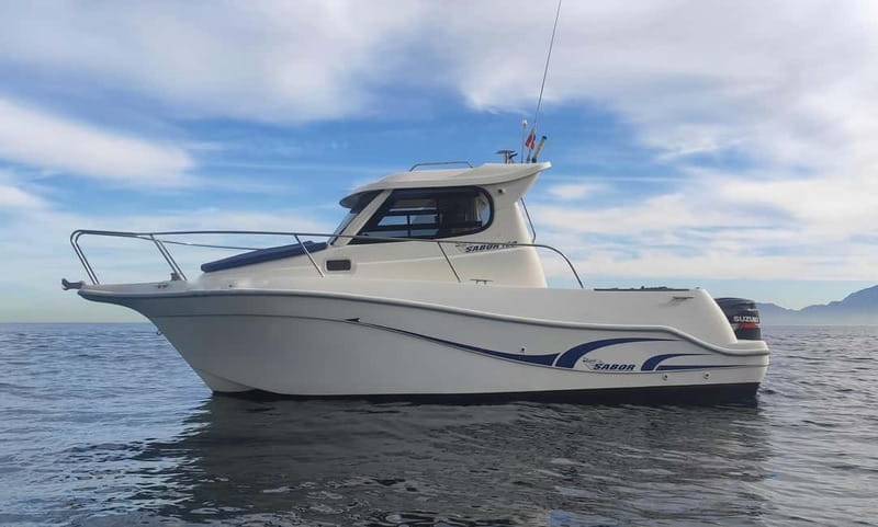 Algeciras: Dolphin and whale watching in reduced groups - Should you book Algeciras dolphin and whale watching with reduced groups?