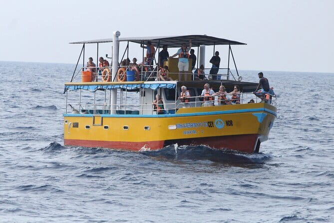 All Inclusive Mirissa Whale and Dolphin Watching Boat Ride - Key highlights before you go