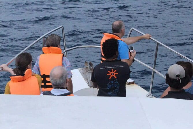 All Inclusive Mirissa Whale and Dolphin Watching Boat Ride - Why a 6:00am boat ride is the whole point in Mirissa