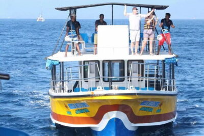 All Inclusive Mirissa Whale and Dolphin Watching Boat Ride - Meeting at Mirissa Fisheries Harbour: how the morning usually flows