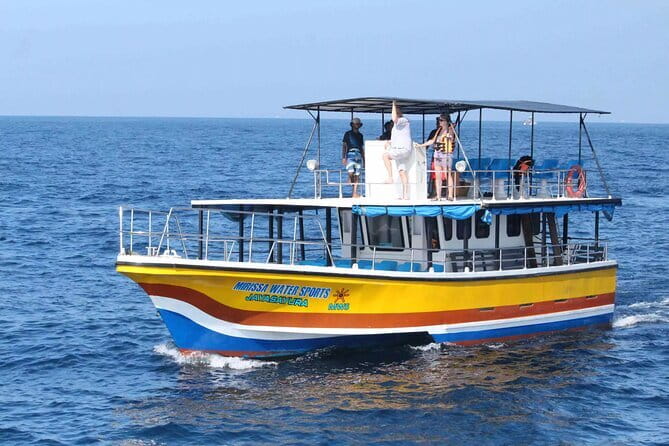 All Inclusive Mirissa Whale and Dolphin Watching Boat Ride - Weather and sea conditions: what happens if it is too rough