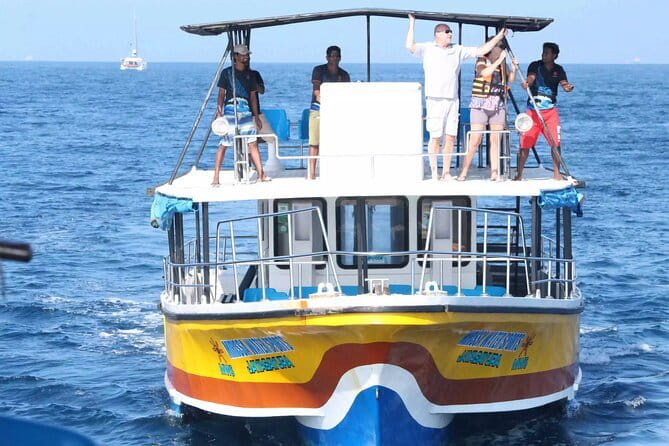 All Inclusive Mirissa Whale and Dolphin Watching Boat Ride - Meeting at Mirissa Fisheries Harbour: how the morning usually flows