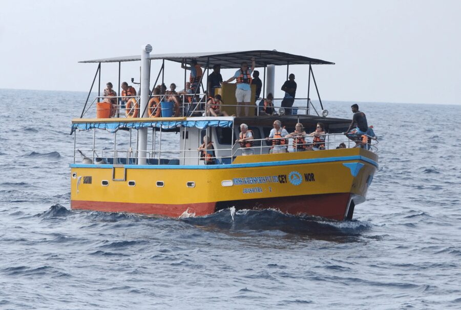 All Inclusive Mirissa Whale & Dolphin Watching + Snorkeling - Snacks, Gear, and the Small Comfort Wins That Matter