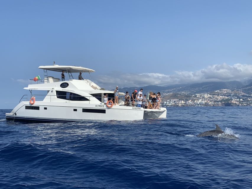 All Inclusive Whale and Dolphin Watching Luxury Tour - Who Should Book This Tour (and Who Might Want to Think Twice)