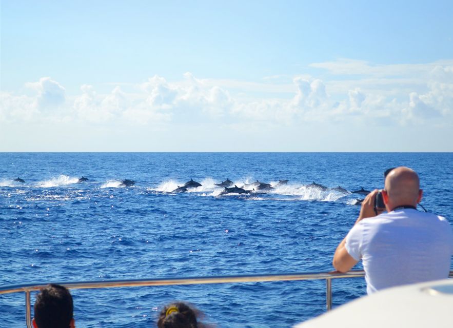 All Inclusive Whale and Dolphin Watching Luxury Tour - From Funchal Marina to Open Water: What the Start Feels Like