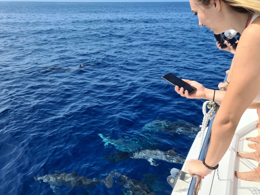 All Inclusive Whale and Dolphin Watching Luxury Tour - The Choppy-Water Reality: Safety, Seating Choices, and Sea-Sickness Tips