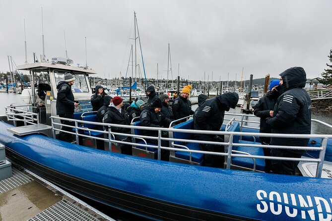 Anacortes Whale Watching Adventure Tour - Zodiac Boat - Prime Species Chances: Orcas, Humpbacks, Grays, and Minkes