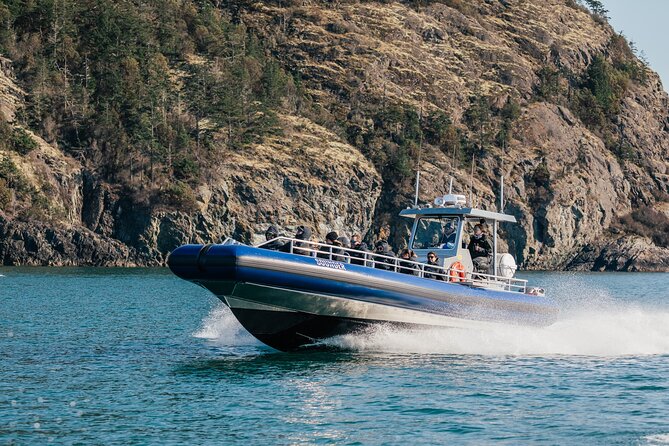 Anacortes Whale Watching Adventure Tour - Zodiac Boat - Views Are Part of the Deal: Baker, the Olympics, and the Islands
