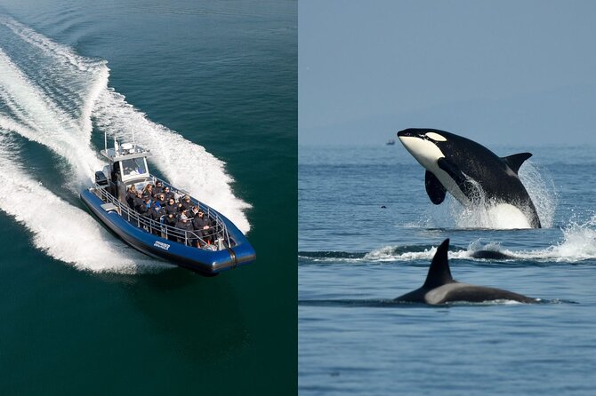 Anacortes Whale Watching Adventure Tour - Zodiac Boat - Warm Cruiser Suits and Included Gear for Windy Water