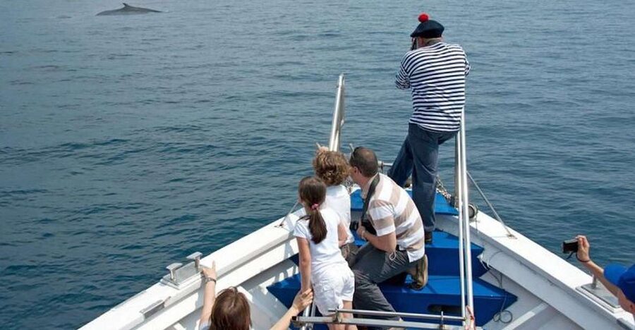 Aquarium of Genoa Ticket and Whale Watching Cruise - Your 4-hour whale-watching cruise from the pier next to the aquarium