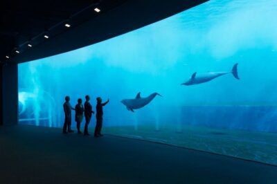 Aquarium of Genoa Ticket and Whale Watching Cruise - Aquarium of Genoa: 70+ exhibits and 600 species under one roof