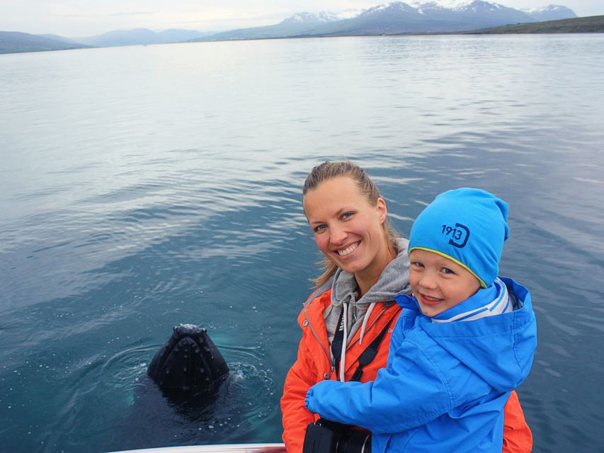 Árskógssandur: Whale-Watching Boat Trip - The traditional oak boat: comfort, sightlines, and why it feels different