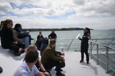 Auckland: Whale and Dolphin Watching Half-Day Eco Cruise - The Dolphin Explorer: viewing comfort and why the boat matters