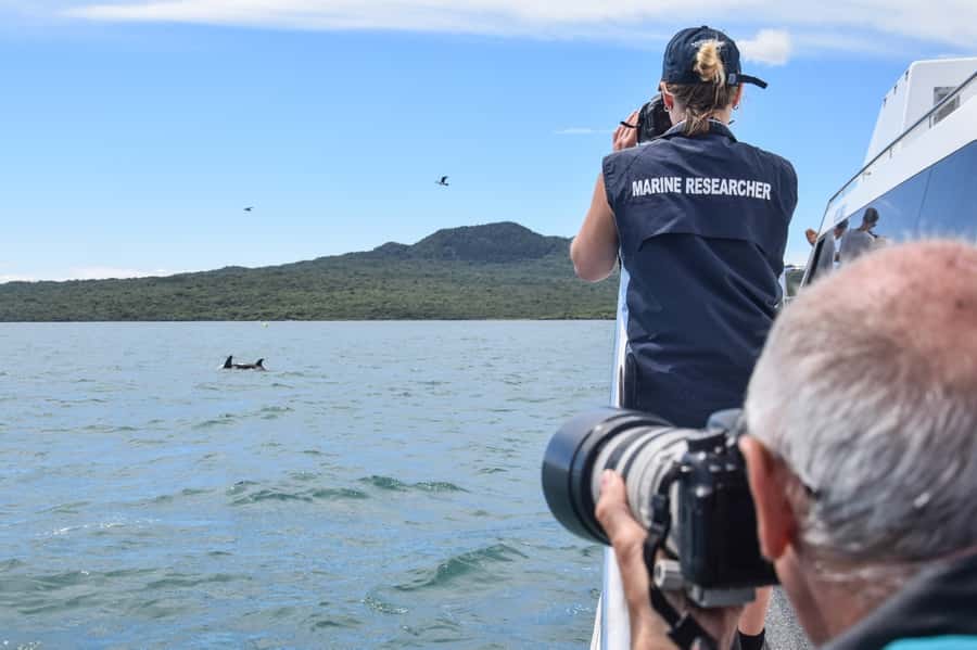 Auckland: Whale and Dolphin Watching Half-Day Eco Cruise - Hauraki Gulf Marine Park: the ecological reason this cruise isn’t just a show