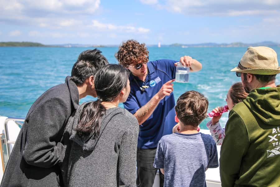 Auckland: Whale and Dolphin Watching Half-Day Eco Cruise - Food, drinks, and keeping comfortable for 4.5 hours
