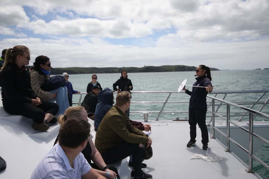 Auckland: Whale and Dolphin Watching Half-Day Eco Cruise - The Dolphin Explorer: viewing comfort and why the boat matters