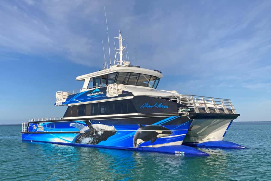 Augusta: Whale Watching Tour - Who should book this tour, and who might want to plan differently