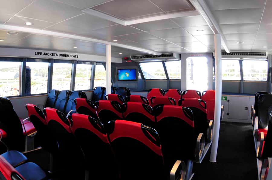 Augusta: Whale Watching Tour - Should you book the Augusta whale watching tour?