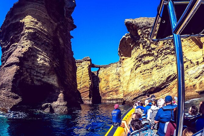 Azores Whale Watching & Islet Boat Tour - The main event: 2.75 hours of whale and dolphin watching