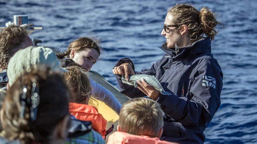 Azores: Whale Watching & Islet Boat Tour w/ Marine Biologist - Getting to Vila Franca do Campo from São Miguel without wasting time