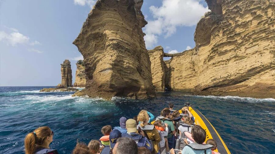 Azores: Whale Watching & Islet Boat Tour w/ Marine Biologist - The briefing that actually helps: cetaceans, safety, and what to watch for