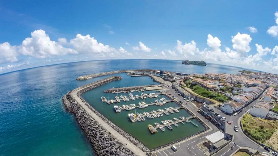 Azores: Whale Watching & Islet Boat Tour w/ Marine Biologist - What whales and dolphins you might spot on São Miguel