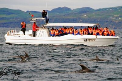 Azores Whale Watching Tour – Ponta Delgada - How the Route Works Along the Southern Coast (and Why Varying Plans Are Good)