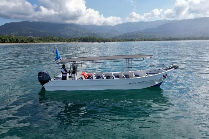 Bahia Ballena Whale and Dolphin Tour - Morning - Key Highlights You’ll Actually Feel Onboard