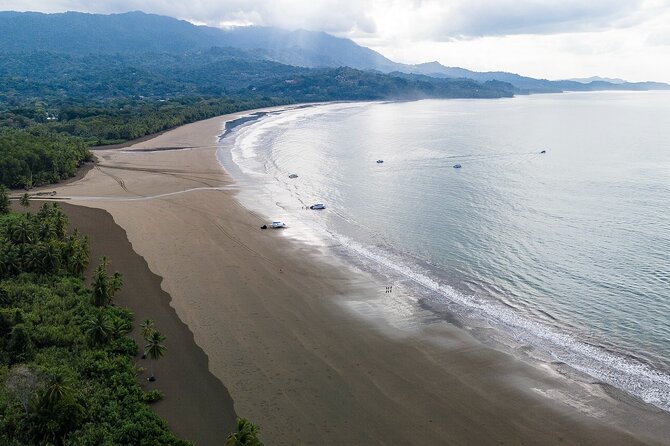 Bahia Ballena Whale and Dolphin Tour - Morning - Who This Tour Suits Best (and Who Might Want a Different Plan)