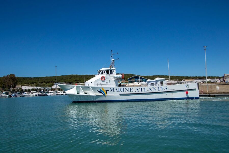 Barbate: Dolphin and Whale Watching in Cape Trafalgar - Marine Atlantes to the Open Atlantic: The Route and Timing