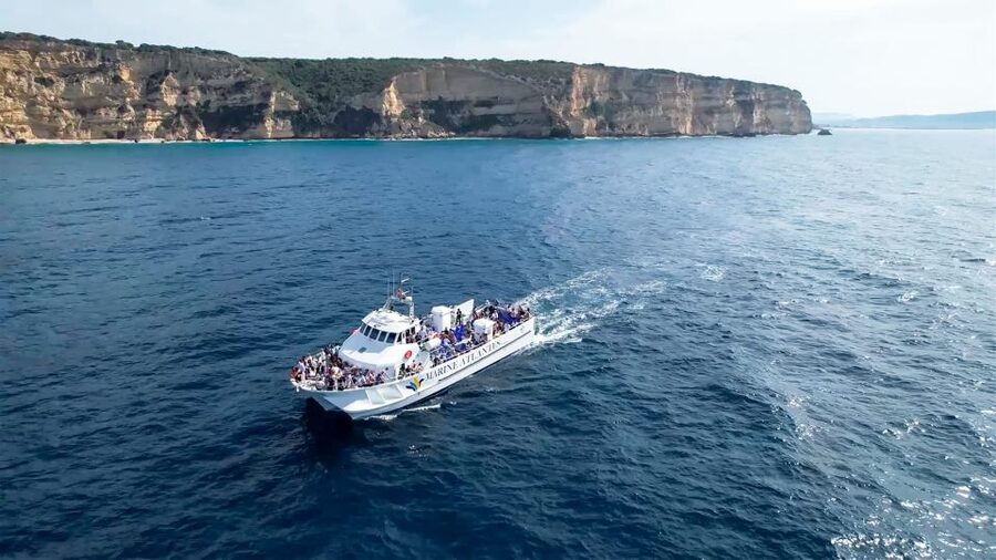 Barbate: Dolphin and Whale Watching in Cape Trafalgar - On-Board Guidance: Learning What You’re Watching