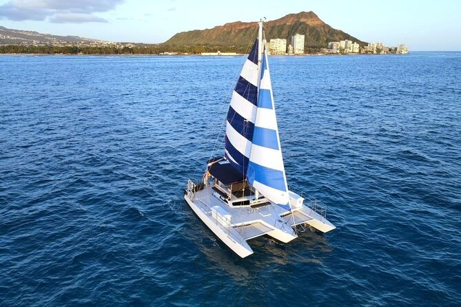 Best Waikiki Whale Watching in Honolulu: Whales Guaranteed - From Holomoana St to Open Water: what happens on this 2-hour ride