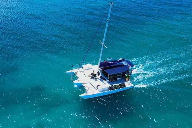 Best Waikiki Whale Watching in Honolulu: Whales Guaranteed - Should you book this Waikiki whale watch?