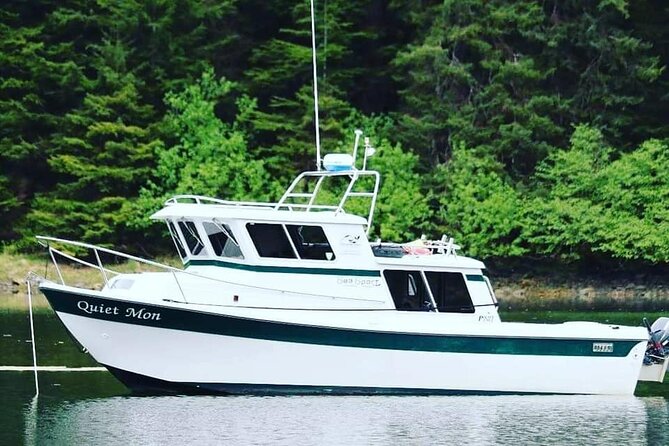 Best Whale Watching and Wildlife Shore Excursion in Sitka - Six people on the boat: why this whale-watching feels calmer