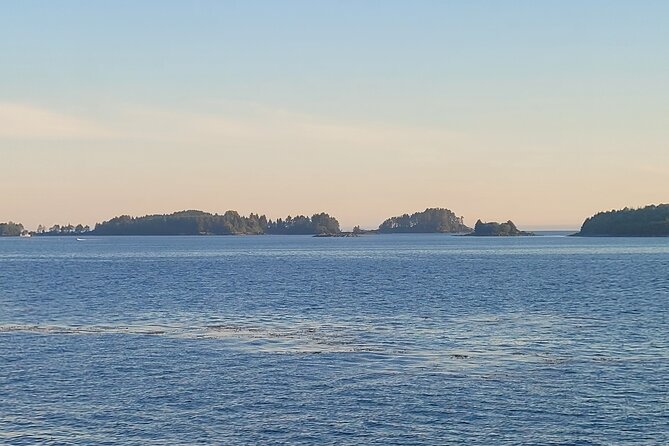 Best Whale Watching and Wildlife Shore Excursion in Sitka - Comfort you’ll notice: heated cabin, viewing seats, snacks, and a restroom