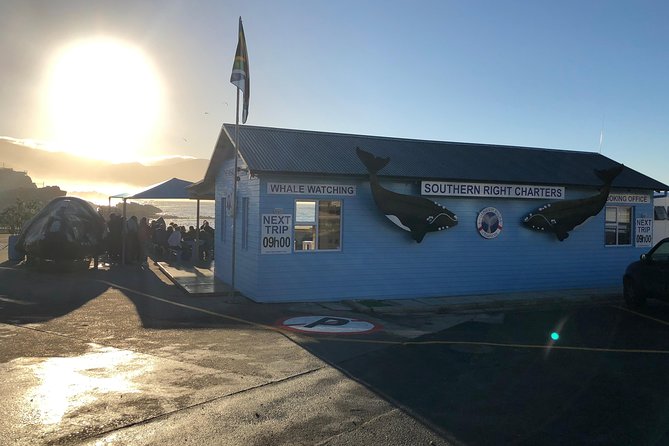 Boat Based Whale Watching from Hermanus - Price and Value: $91.45 for 2 Hours, With Specialist Help