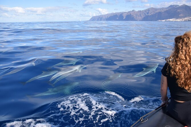 Bonadea II Ecological Whale Watching, 2 hours - Why the tour stays ecologically focused (and not just labeled eco)