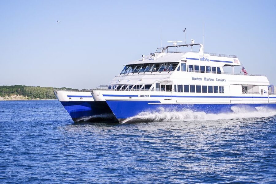 Boston: City Cruises Whale Watching Cruise - Meeting at One Long Wharf: Fast Boarding, Big Harbor Energy