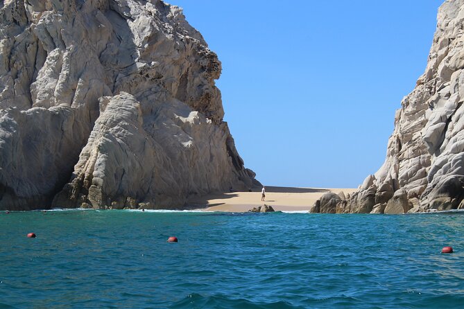 Cabo San Lucas Humpback Whale Watching Tour - Convergence of Two Seas: Sea of Cortez Meets the Pacific