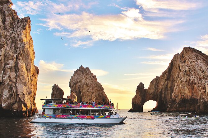 Cabo San Lucas Humpback Whale Watching Tour - Logistics That Affect Your Comfort: Pickup, Group Size, and Timing