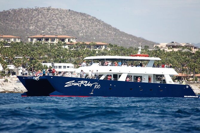 Cabo San Lucas Whale Watching Lunch Cruise - Starting at Marina Cabo San Lucas and finding your spot fast