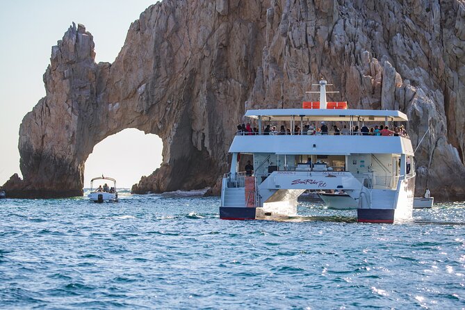 Cabo San Lucas Whale Watching Lunch Cruise - Crew quality: why the captain and staff matter on a whale day