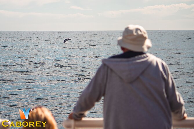 Cabo Whale Watch Three-Level Vessel and Majestic Arch - Quick hits you’ll care about