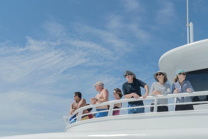 Cabo Whale Watch Three-Level Vessel and Majestic Arch - Three levels on Caborey: better sightlines for whales and photos