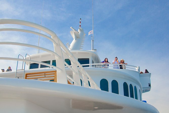 Cabo Whale Watch Three-Level Vessel and Majestic Arch - Group size reality: why it feels fun but not private
