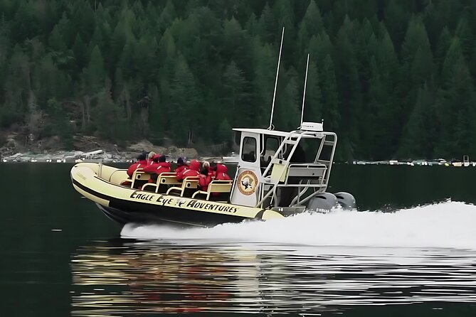 Campbell River, BC: 4 Hour Wildlife Tour Featuring Whale Watching - Key highlights to know before you go