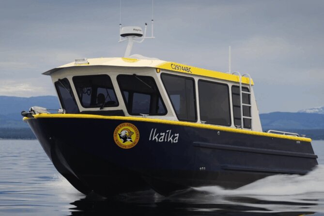 Campbell River, BC: 4 Hour Wildlife Tour Featuring Whale Watching - What animals you’re really hoping to see (and what that list means)