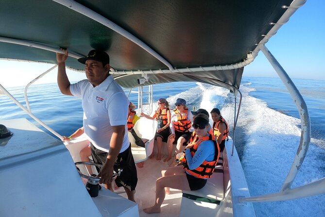 Cancun Whale Shark Experience with Snorkel & Transportation - Snorkeling gear, wetsuit rental, and what to pack