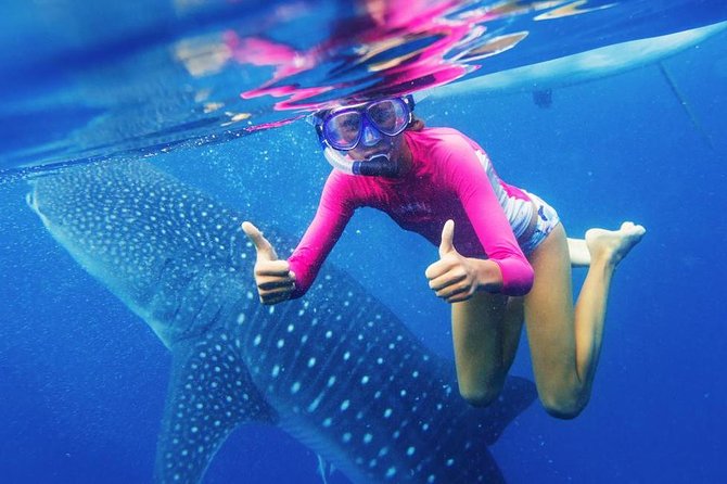 Cebu: Oslob Whale Shark Swimming and Kawasan Falls Canyoneering - Oslob Whale Sharks: The Most “Worth It” Part of the Day