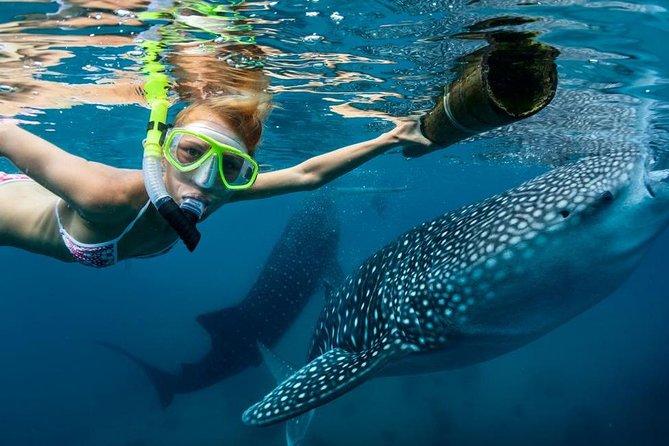 Cebu: Oslob Whale Shark Swimming and Kawasan Falls Canyoneering - Getting Ready for Kawasan Falls: Trekking, Gear, and Fitness